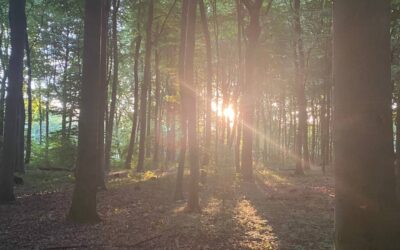 Vom Naturbewusstsein zum Selbstbewusstsein