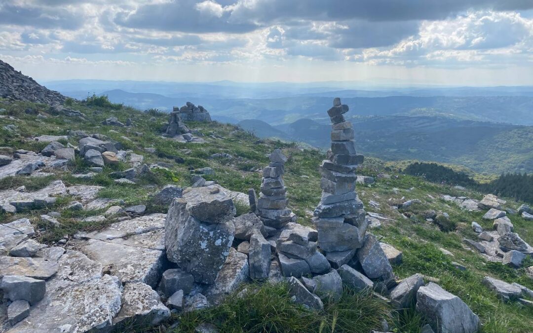 Erkennen, nicht tadeln, ändern