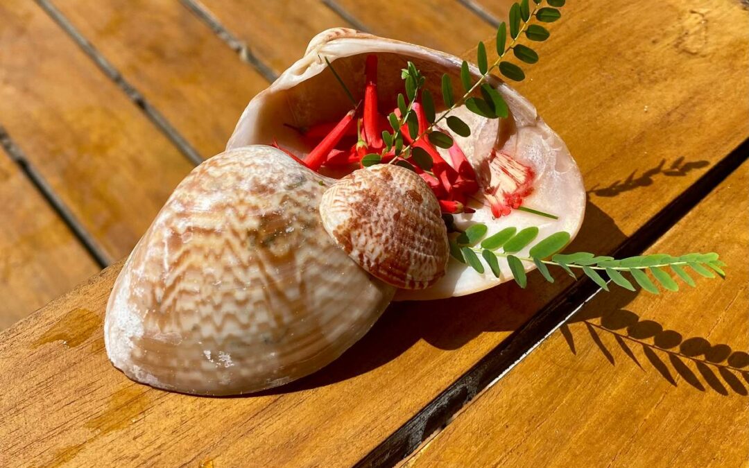 Das Kleine, das Feine