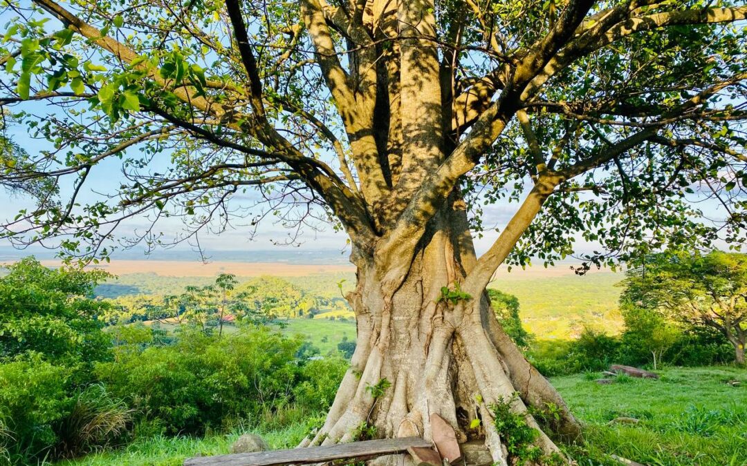 Es "gut" sein lassen